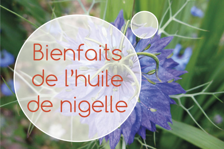 Huile de nigelle : 20 raisons de l&rsquo;utiliser