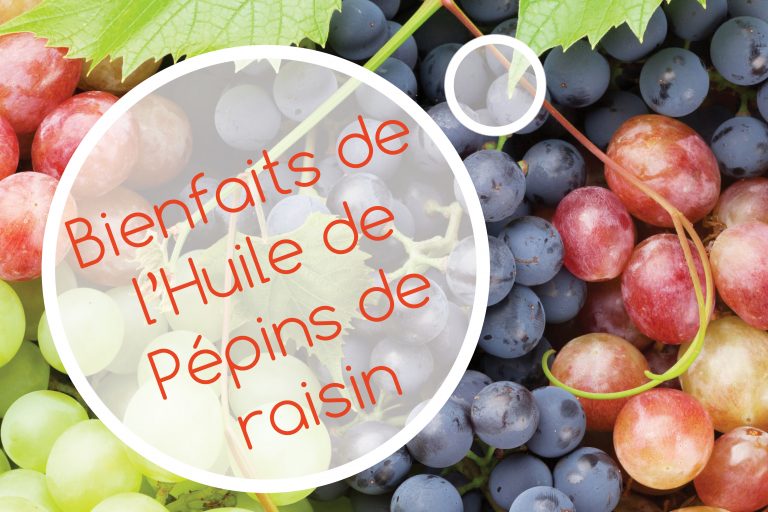 Huile de pépins de raisin : guide complet des bienfaits naturels