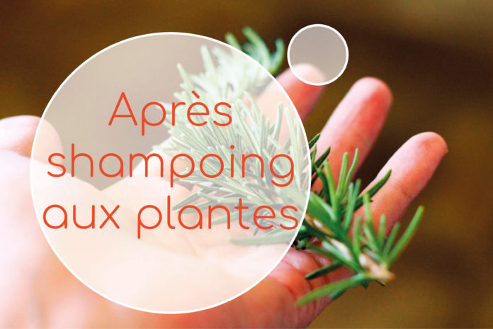 eau de rinçage aux plantes après shampoing aux plantes